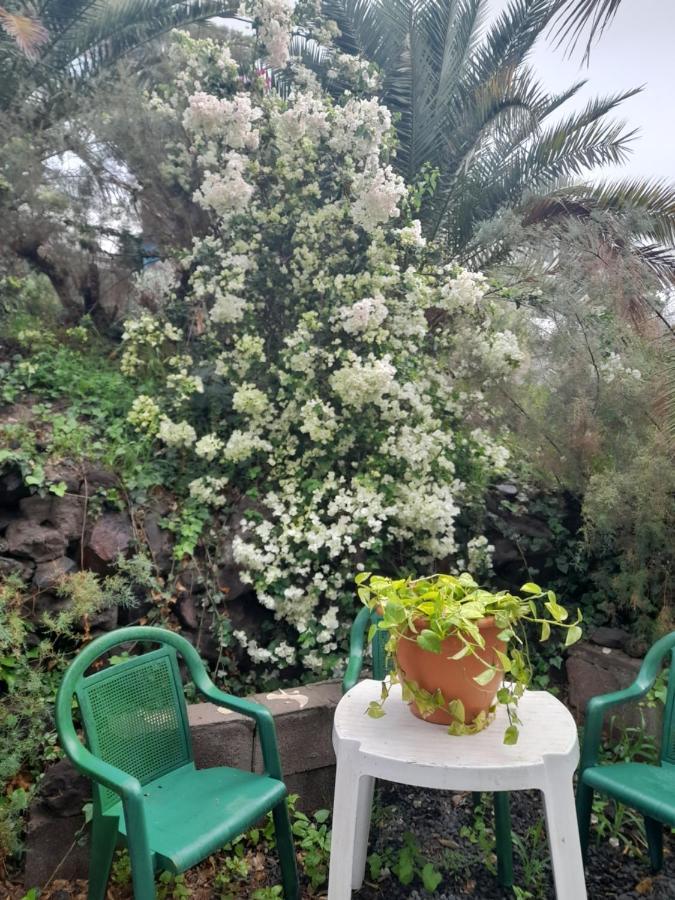 -The Garden - Apartment Las Palmas de Gran Canaria Exterior photo